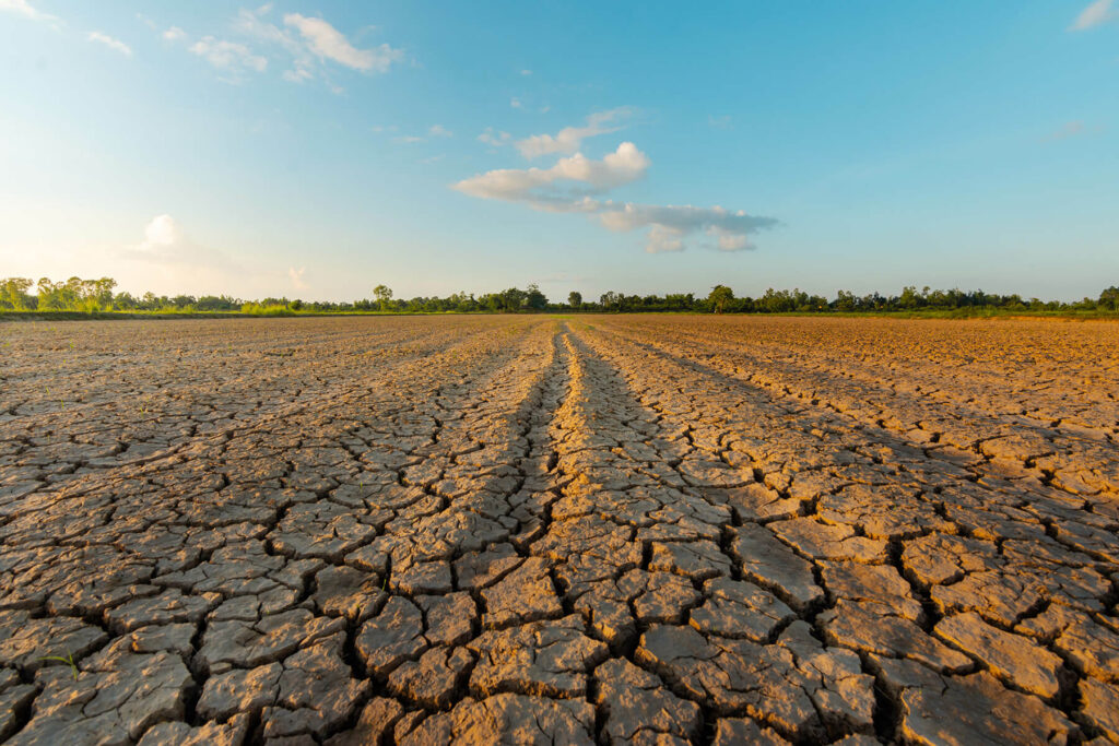 Landscape showing ground that is dry and cracking