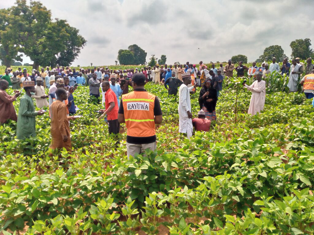 A 'green field day,' which is a hands-on training and demonstration event for farmers.